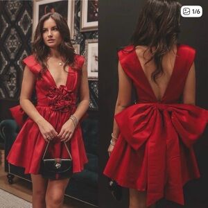 NWT For Love and Lemons rose mini dress